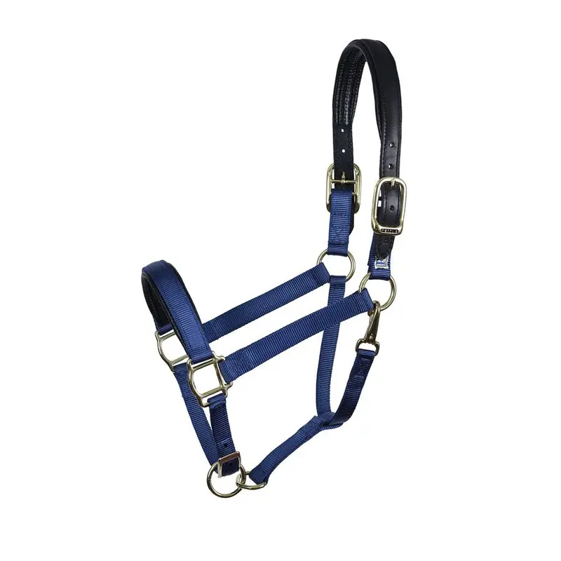 Perri's Navy Neoprene/ Nylon Halter 1