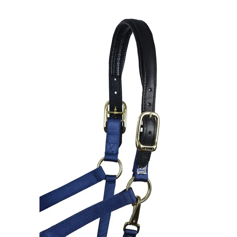 Perri's Navy Neoprene/ Nylon Halter 2