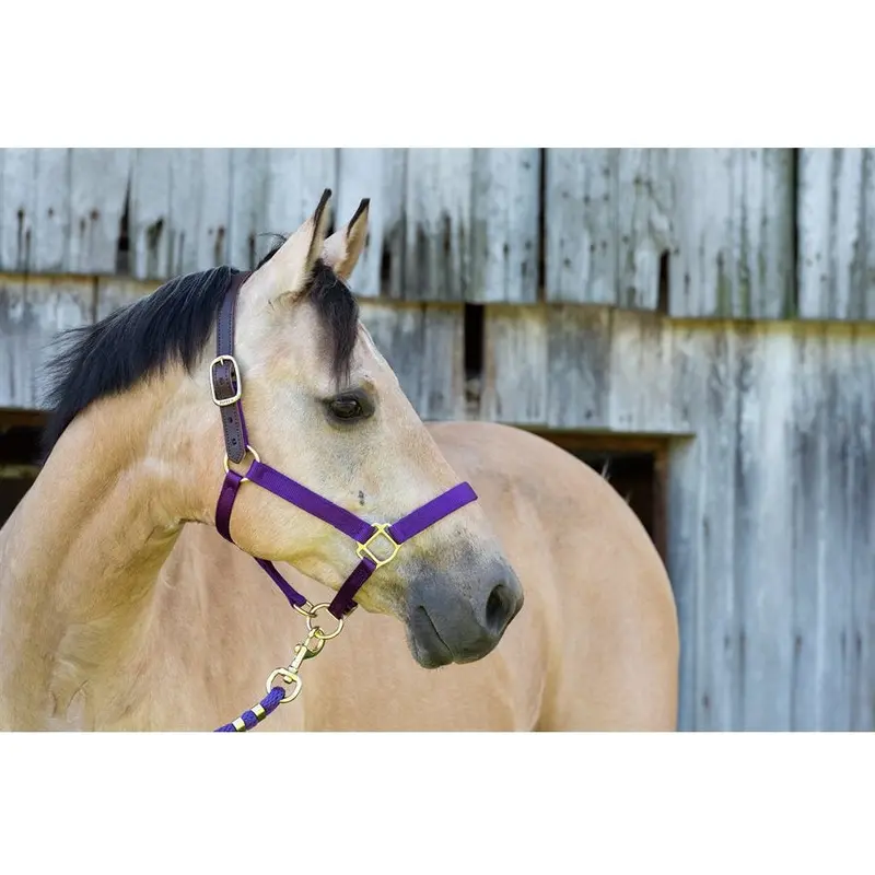 Perri's Nylon Safety Breakaway Halter 1