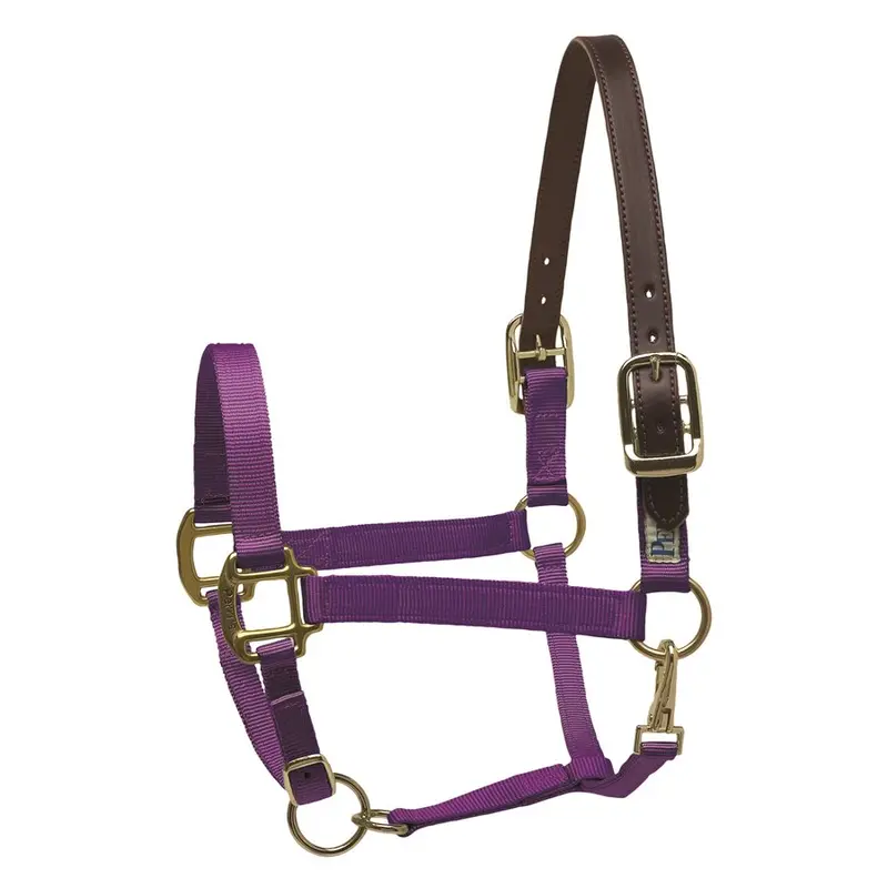 Perri's Nylon Safety Breakaway Halter 3
