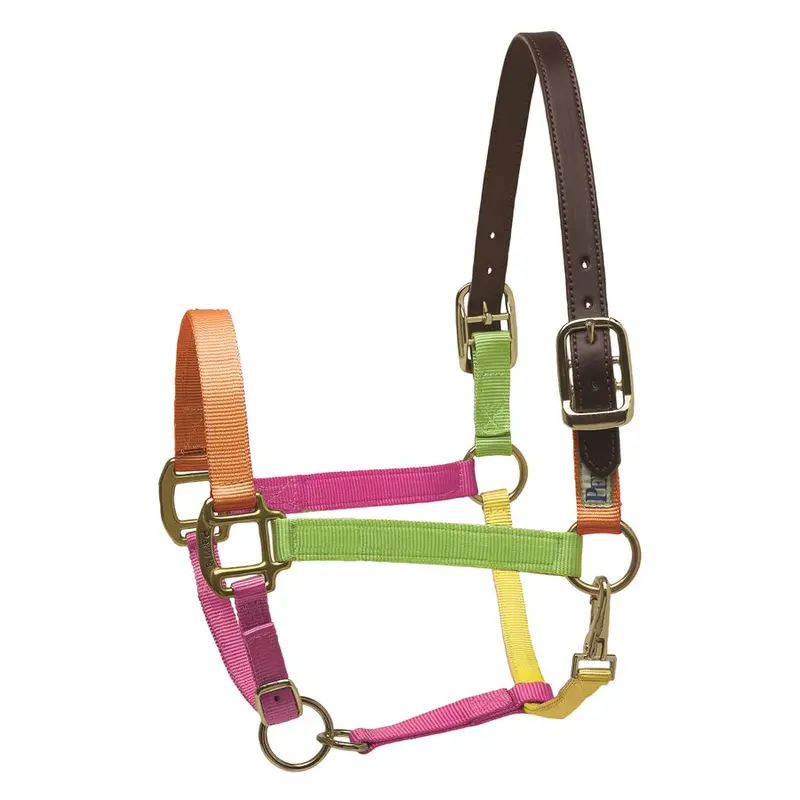 Perri's Nylon Safety Breakaway Halter 4