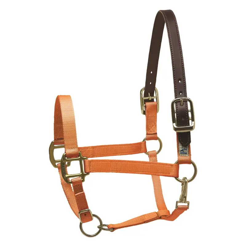 Perri's Nylon Safety Breakaway Halter 6