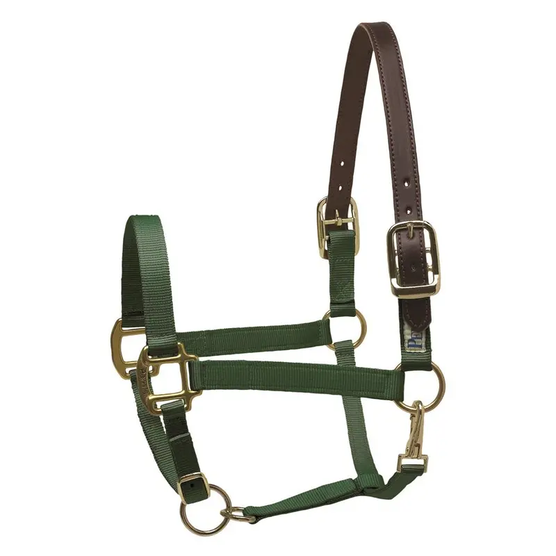 Perri's Nylon Safety Breakaway Halter 8