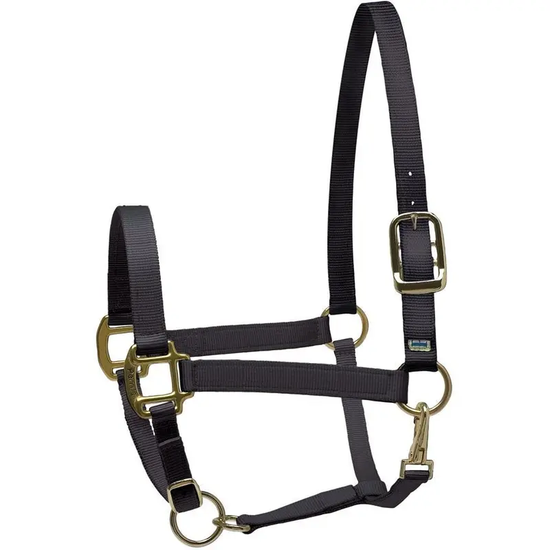 Perri's Nylon Superhalter 1