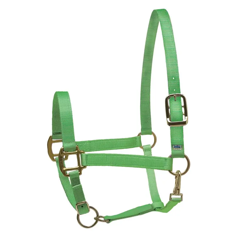 Perri's Nylon Superhalter 5