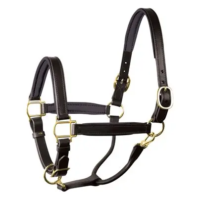 Perri's Padded Leather Halter 1