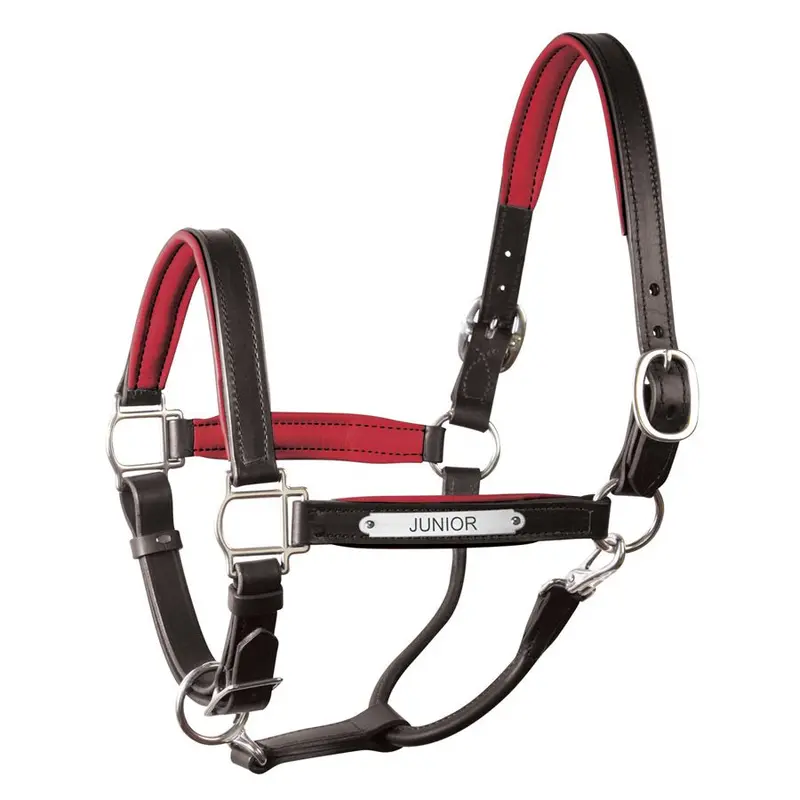 Perri's Padded Leather Halter With Nameplate 15