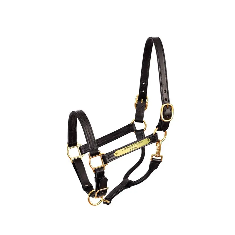 Perri's Premium 1" Leather Show Halter With Nameplate 1