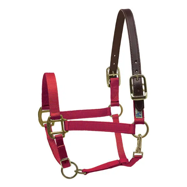 Perri's Premium Nylon Safety Halter 1