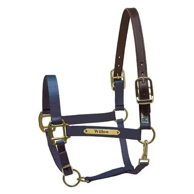 Perri’s Premium Nylon Safety Halter with Custom Nameplate