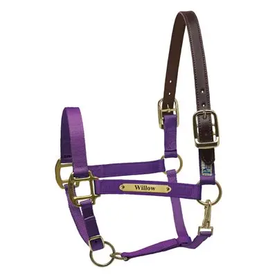 Perri’s Premium Nylon Safety Halter with Custom Nameplate