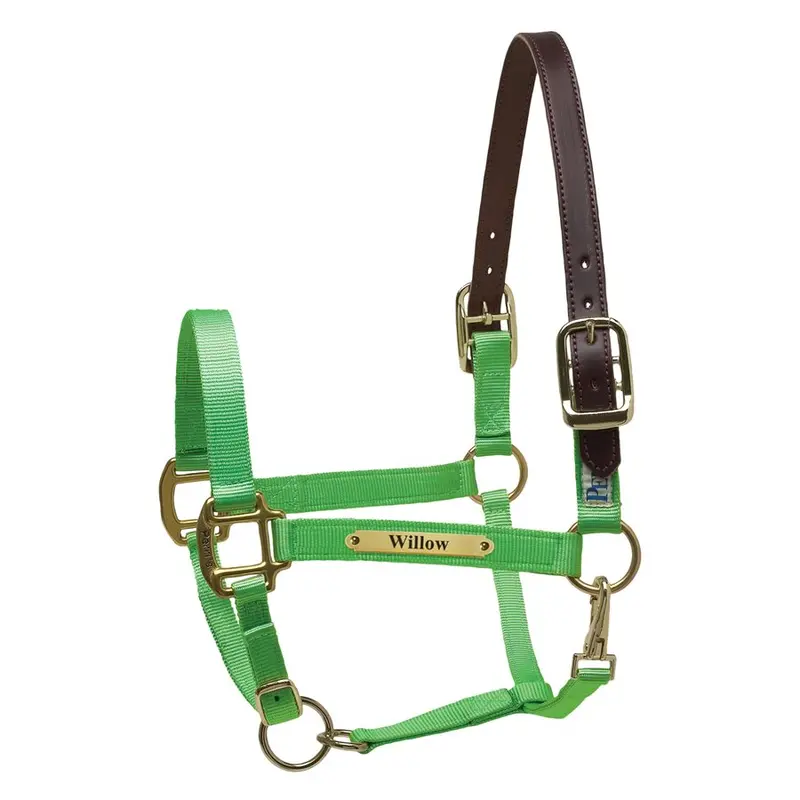 Perri’s Premium Nylon Safety Halter with Custom Nameplate
