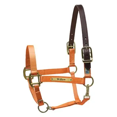 Perri’s Premium Nylon Safety Halter with Custom Nameplate