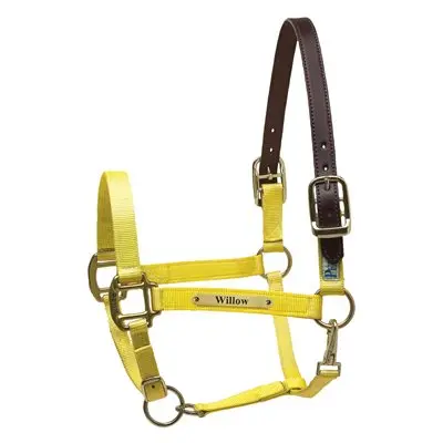 Perri’s Premium Nylon Safety Halter with Custom Nameplate