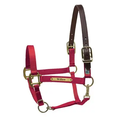 Perri’s Premium Nylon Safety Halter with Custom Nameplate