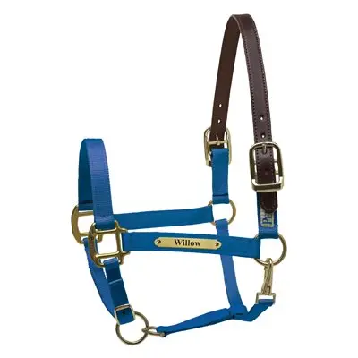 Perri’s Premium Nylon Safety Halter with Custom Nameplate