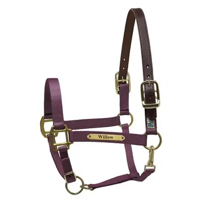 Perri's Premium Nylon Safety Halter With Nameplate 12