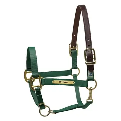 Perri's Premium Nylon Safety Halter With Nameplate 13