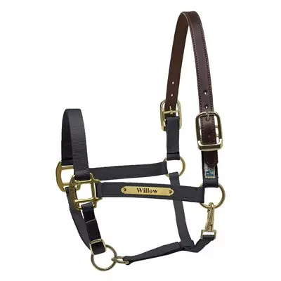 Perri's Premium Nylon Safety Halter With Nameplate 2