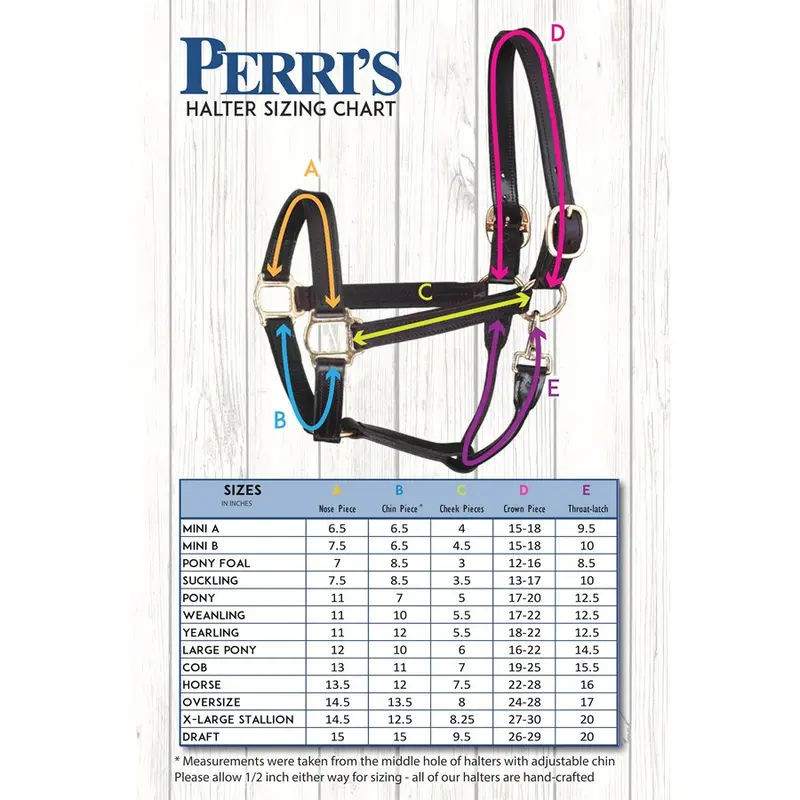 Perri's Premium Nylon Safety Halter With Nameplate 7