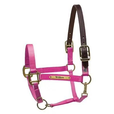 Perri's Premium Nylon Safety Halter With Nameplate 9