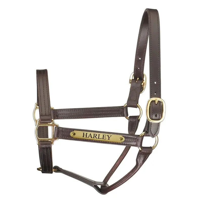 Perri's Premium Track Style Leather Show Halter With Nameplate 1
