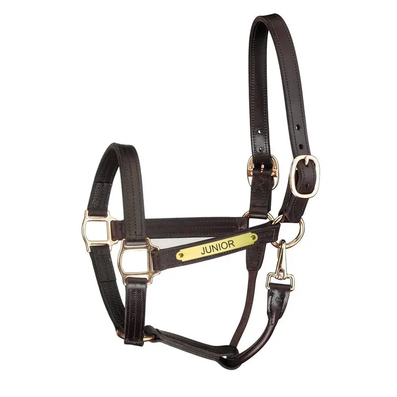 Perri's Premium Track Style Leather Show Halter With Snap & Nameplate 1