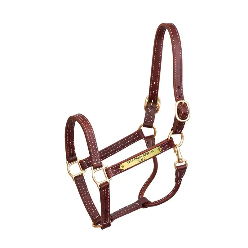 Perri's Professional Halter With Nameplate 4