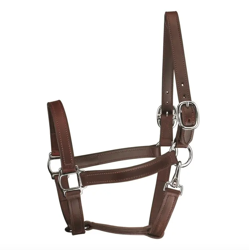 Perri's Track Leather Halter 2