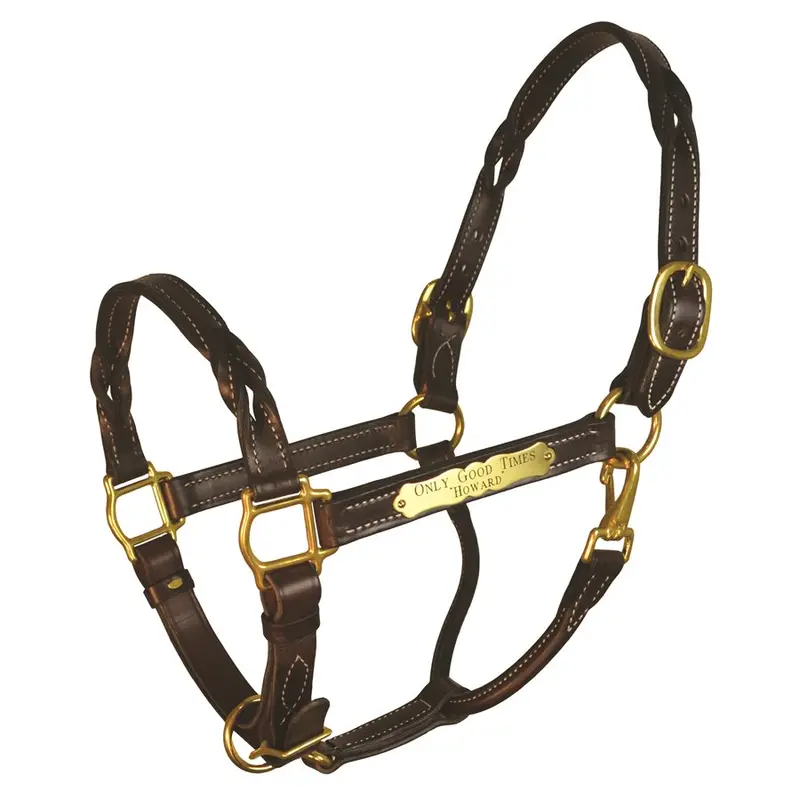 Perri's Twisted Leather Halter With Nameplate 1