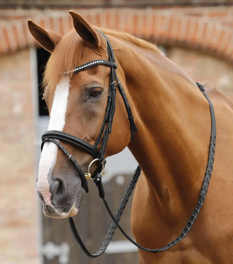 Pietro Laced Reins Black 2