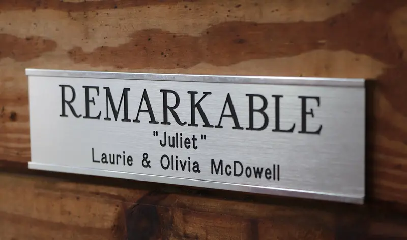 Plastic Stall Plate 2