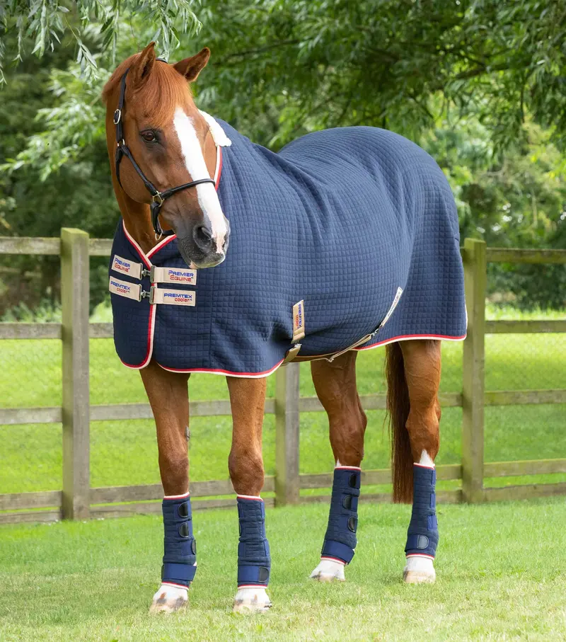 Premtex Horse Cooler Rug Navy 1