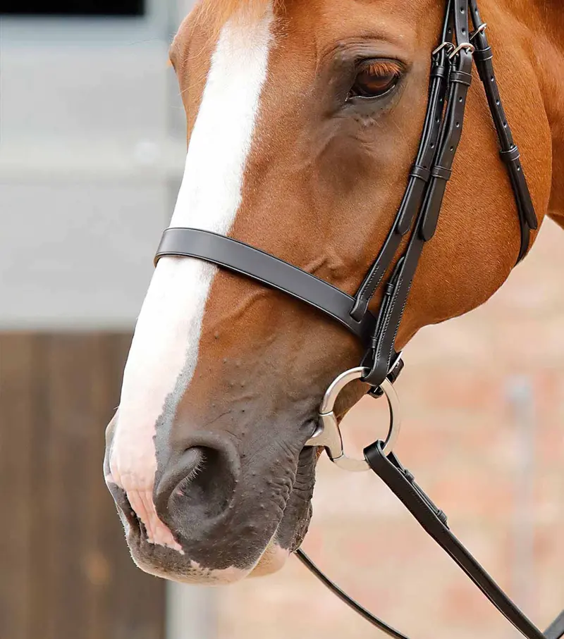 Primo Hunter Cavesson Noseband Black 2