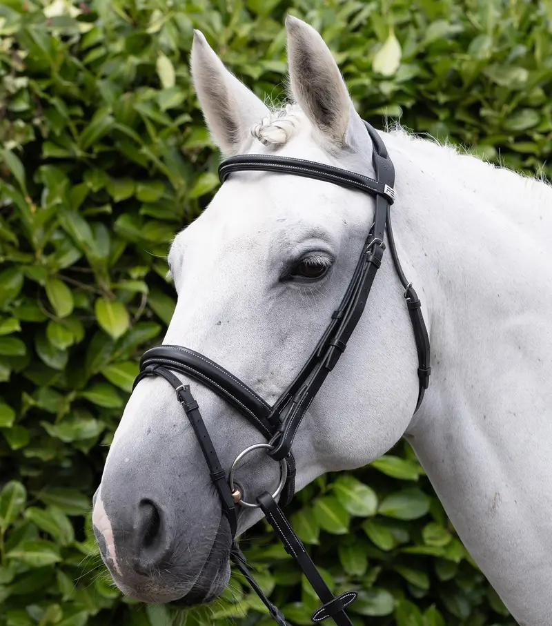 Pro Elevator Bridle Black 1