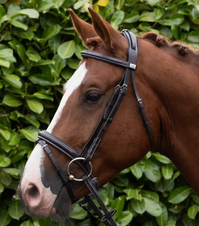 Pro Elevator Bridle Dark Havana 1