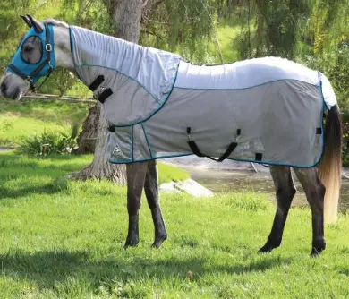 Professional's Choice Comfort Fit Fly Sheet 1