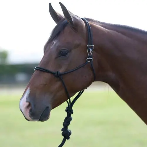 Professional's Choice Easy On Rope Halter 1