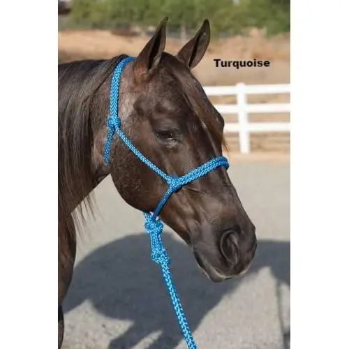 Professional's Choice Ranch Hand Rope Halter-Turquoise 1