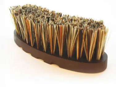 Professionals Choice Tail Tamer Curved Coconut Bristle Brush 2