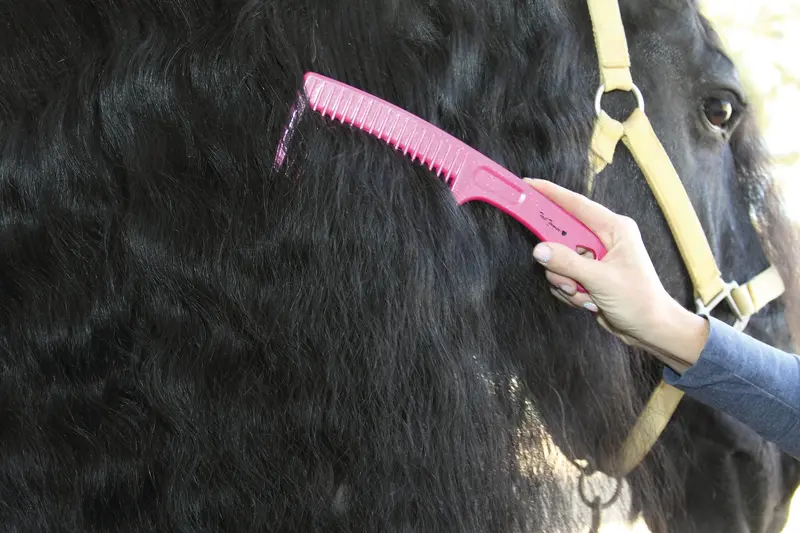 Professional's Choice Tail Tamer Deluxe Comb 1
