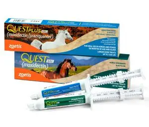 Quest Plus Wormer 1