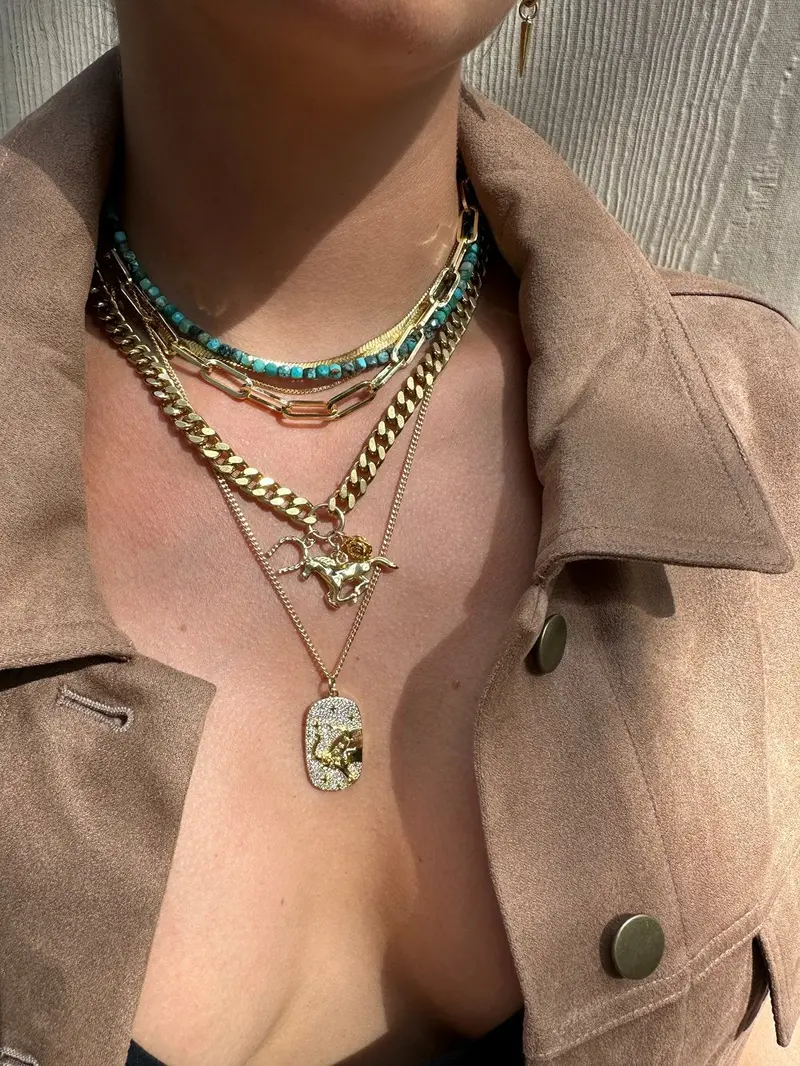 Rachel Nathan Rodeo Curb Statement Chain Necklace 1