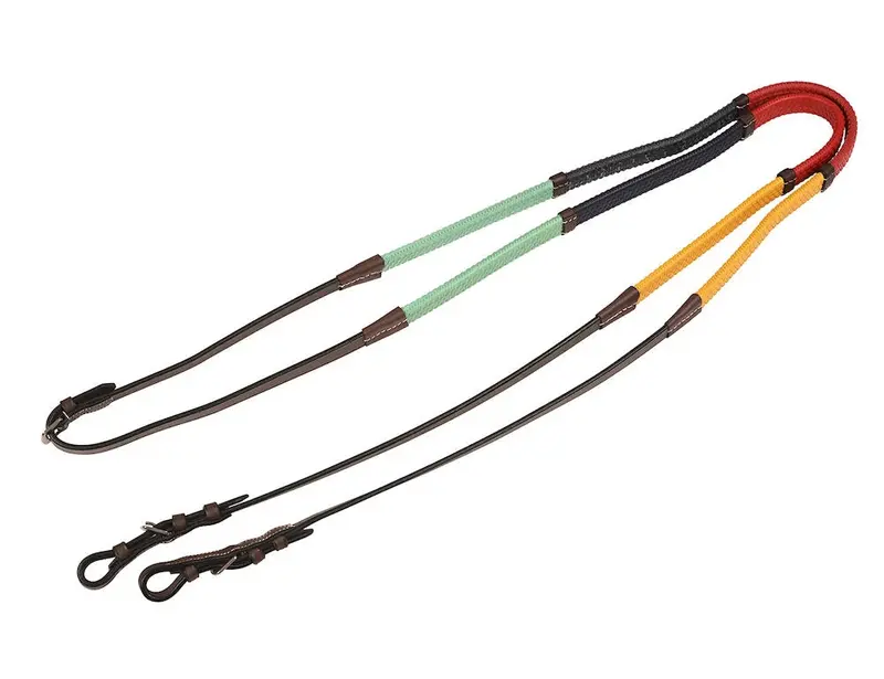 Rainbow Training Reins 1