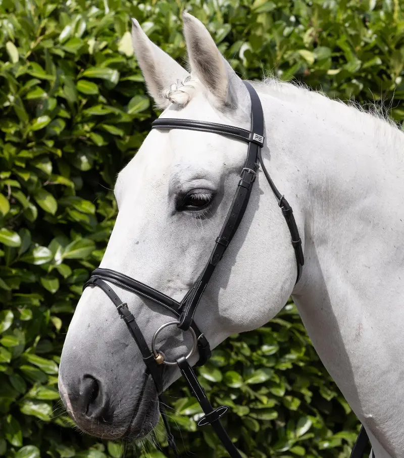 Raised Jumping Bridle With Flash Noseband Black 1