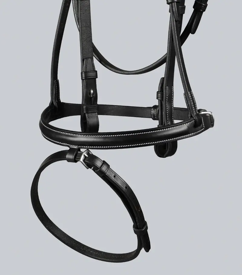 Raised Jumping Bridle With Flash Noseband Black 4