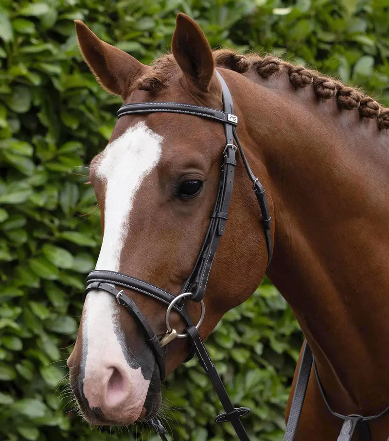 Raised Jumping Bridle With Flash Noseband Dark Havana 1