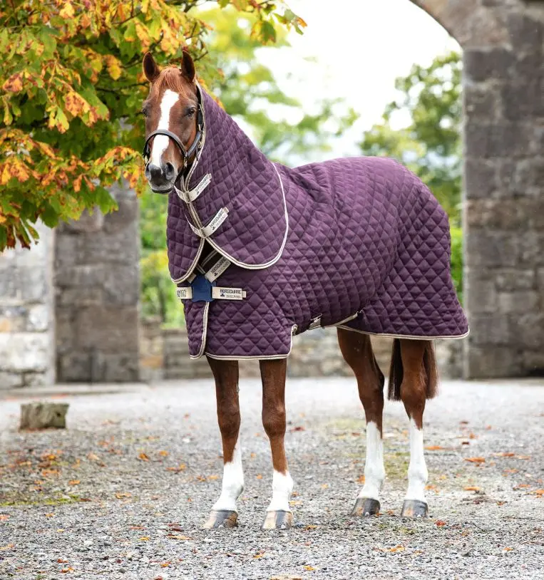 Rambo® Amigo Stable Plus Blanket 1