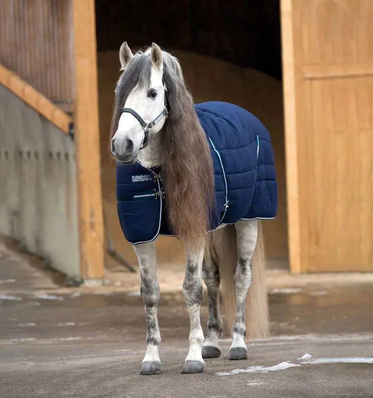 Rambo Stable Blanket with Embossed Lining – 200G Warmth