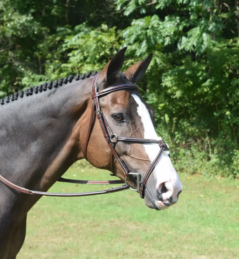 Red Barn Equinox Ii Figure Eight Bridle 1